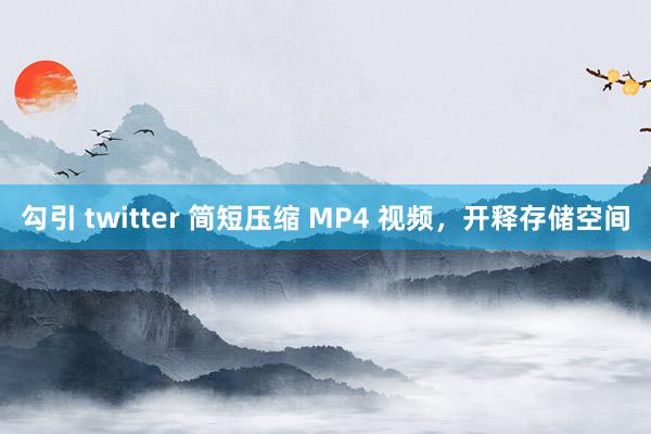 勾引 twitter 简短压缩 MP4 视频，开释存储空间