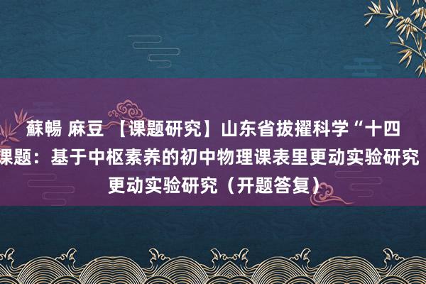 蘇暢 麻豆 【课题研究】山东省拔擢科学“十四五”有狡计课题：基于中枢素养的初中物理课表里更动实验研究（开题答复）