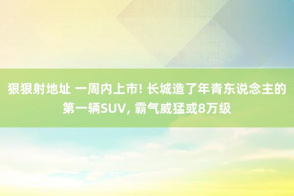 狠狠射地址 一周内上市! 长城造了年青东说念主的第一辆SUV， 霸气威猛或8万级