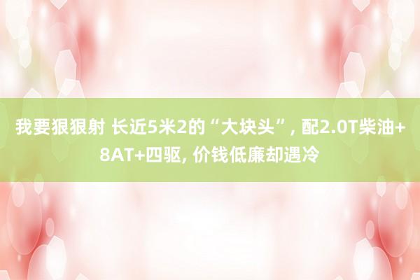 我要狠狠射 长近5米2的“大块头”， 配2.0T柴油+8AT+四驱， 价钱低廉却遇冷