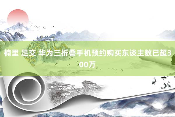 楠里 足交 华为三折叠手机预约购买东谈主数已超300万