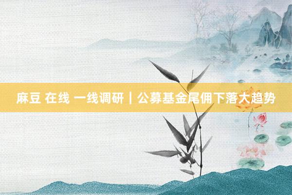 麻豆 在线 一线调研｜公募基金尾佣下落大趋势