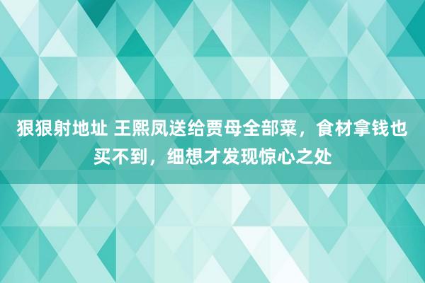 狠狠射地址 王熙凤送给贾母全部菜，食材拿钱也买不到，细想才发现惊心之处