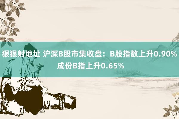 狠狠射地址 沪深B股市集收盘：B股指数上升0.90% 成份B指上升0.65%