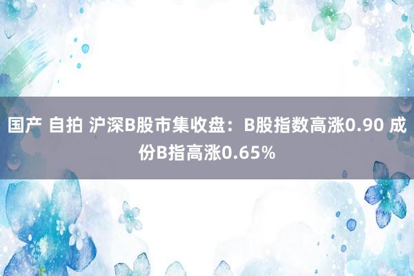 国产 自拍 沪深B股市集收盘：B股指数高涨0.90 成份B指高涨0.65%