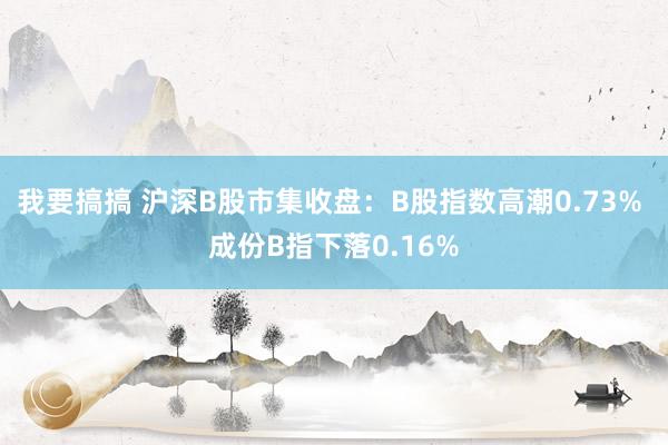 我要搞搞 沪深B股市集收盘：B股指数高潮0.73% 成份B指下落0.16%