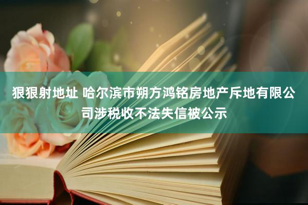 狠狠射地址 哈尔滨市朔方鸿铭房地产斥地有限公司涉税收不法失信被公示