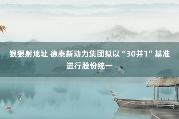 狠狠射地址 德泰新动力集团拟以“30并1”基准进行股份统一