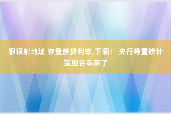 狠狠射地址 存量房贷利率，下调！ 央行等重磅计策组合拳来了