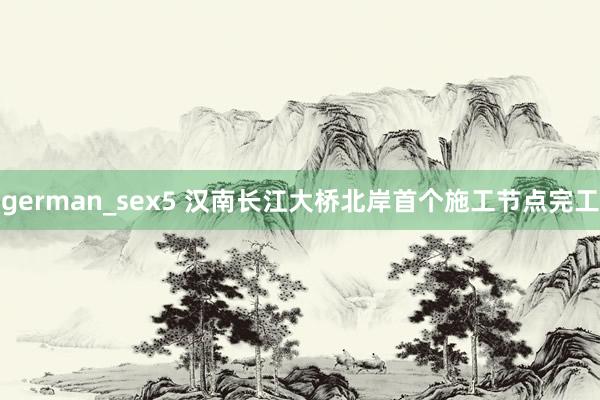 german_sex5 汉南长江大桥北岸首个施工节点完工