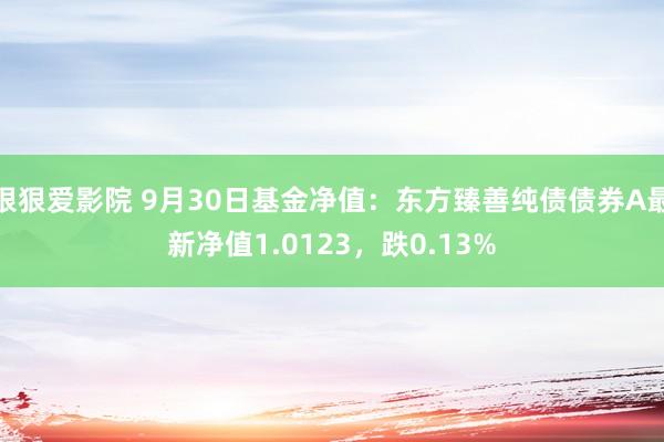 狠狠爱影院 9月30日基金净值：东方臻善纯债债券A最新净值1.0123，跌0.13%