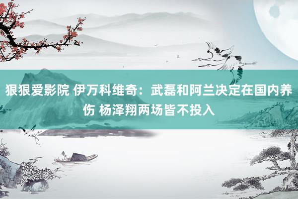 狠狠爱影院 伊万科维奇：武磊和阿兰决定在国内养伤 杨泽翔两场皆不投入