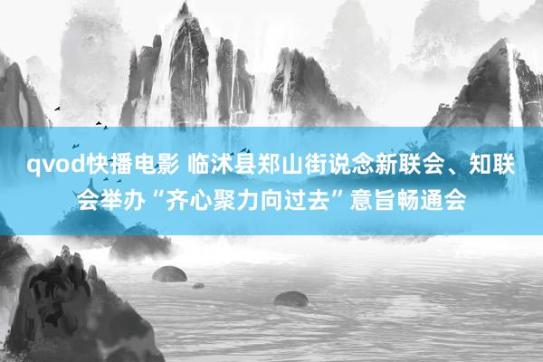 qvod快播电影 临沭县郑山街说念新联会、知联会举办“齐心聚力向过去”意旨畅通会