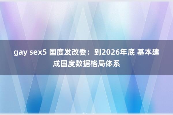 gay sex5 国度发改委：到2026年底 基本建成国度数据格局体系