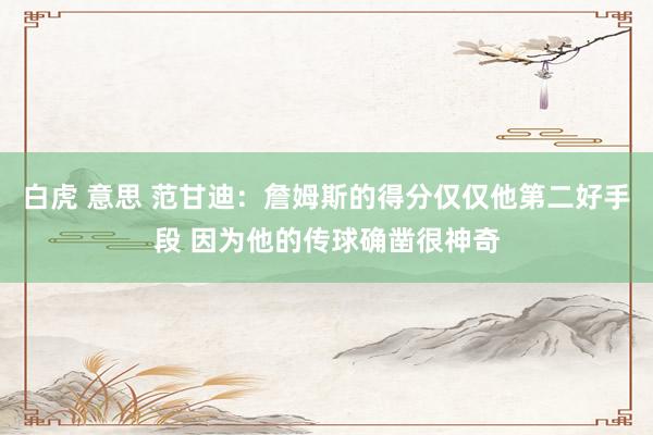 白虎 意思 范甘迪：詹姆斯的得分仅仅他第二好手段 因为他的传球确凿很神奇