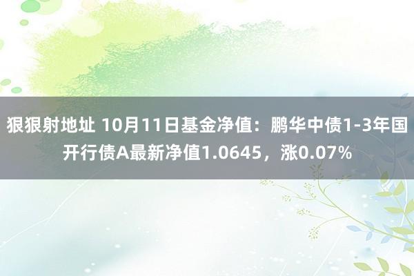 狠狠射地址 10月11日基金净值：鹏华中债1-3年国开行债A最新净值1.0645，涨0.07%