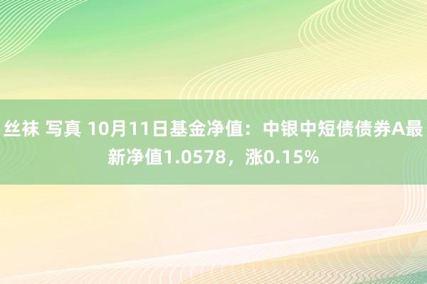 丝袜 写真 10月11日基金净值：中银中短债债券A最新净值1.0578，涨0.15%