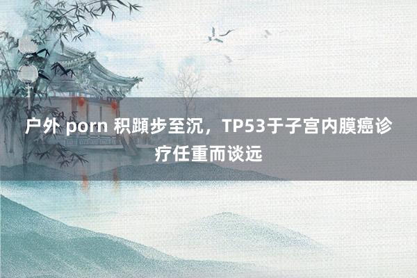 户外 porn 积蹞步至沉，TP53于子宫内膜癌诊疗任重而谈远