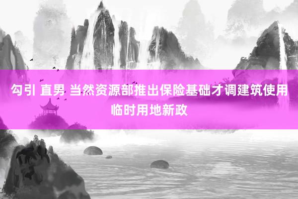 勾引 直男 当然资源部推出保险基础才调建筑使用临时用地新政