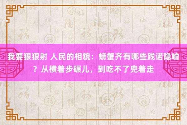 我要狠狠射 人民的相貌：螃蟹齐有哪些践诺隐喻？从横着步碾儿，到吃不了兜着走