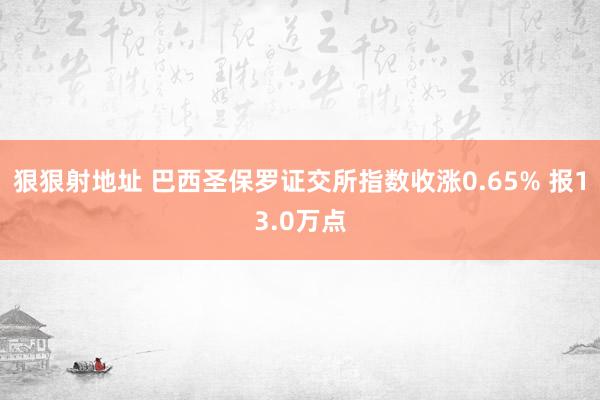 狠狠射地址 巴西圣保罗证交所指数收涨0.65% 报13.0万点