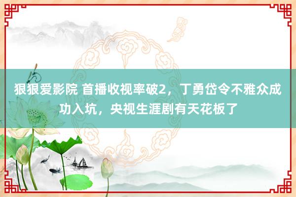 狠狠爱影院 首播收视率破2，丁勇岱令不雅众成功入坑，央视生涯剧有天花板了