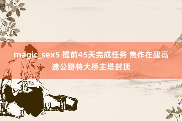 magic_sex5 提前45天完成任务 焦作在建高速公路特大桥主塔封顶