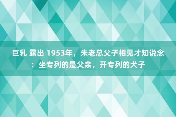 巨乳 露出 1953年，朱老总父子相见才知说念：坐专列的是父亲，开专列的犬子