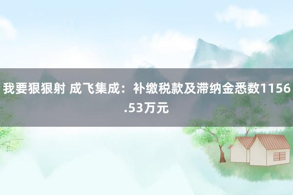 我要狠狠射 成飞集成：补缴税款及滞纳金悉数1156.53万元