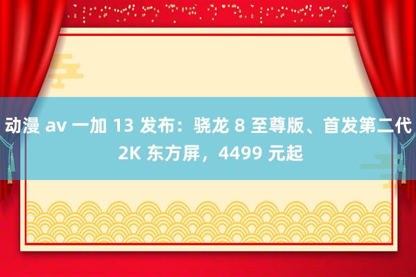 动漫 av 一加 13 发布：骁龙 8 至尊版、首发第二代 2K 东方屏，4499 元起