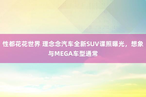 性都花花世界 理念念汽车全新SUV谍照曝光，想象与MEGA车型通常