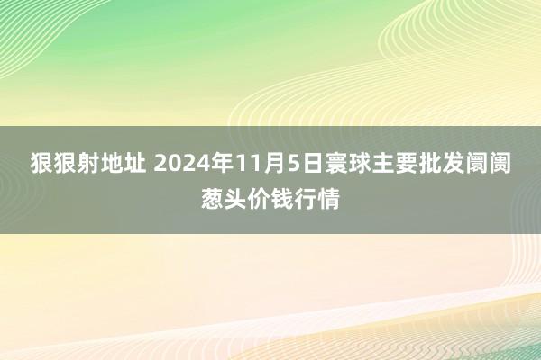 狠狠射地址 2024年11月5日寰球主要批发阛阓葱头价钱行情