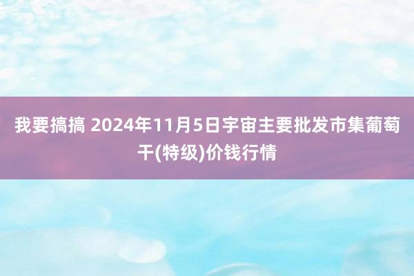 我要搞搞 2024年11月5日宇宙主要批发市集葡萄干(特级)价钱行情