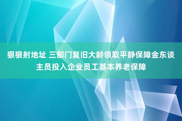 狠狠射地址 三部门复旧大龄领取平静保障金东谈主员投入企业员工基本养老保障