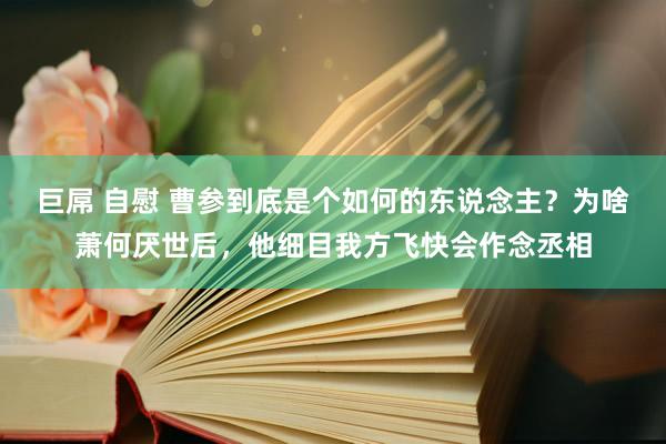 巨屌 自慰 曹参到底是个如何的东说念主？为啥萧何厌世后，他细目我方飞快会作念丞相