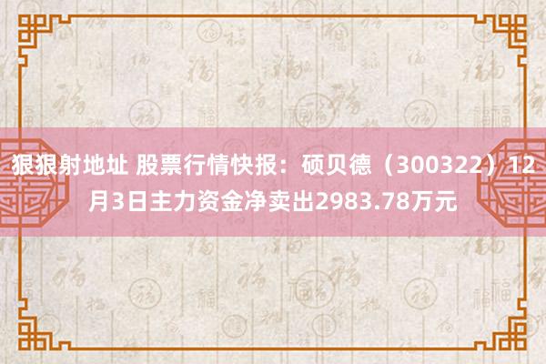 狠狠射地址 股票行情快报：硕贝德（300322）12月3日主力资金净卖出2983.78万元