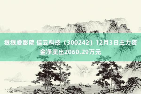 狠狠爱影院 佳云科技（300242）12月3日主力资金净卖出2060.29万元