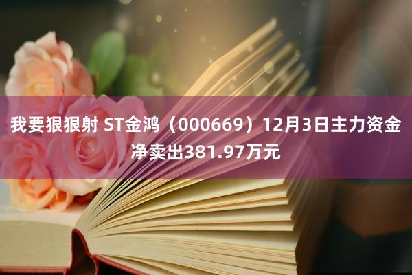 我要狠狠射 ST金鸿（000669）12月3日主力资金净卖出381.97万元