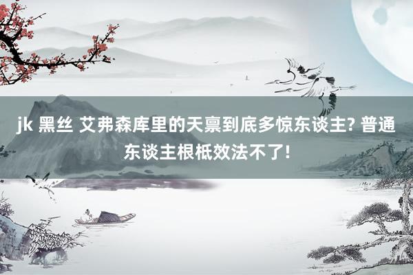 jk 黑丝 艾弗森库里的天禀到底多惊东谈主? 普通东谈主根柢效法不了!