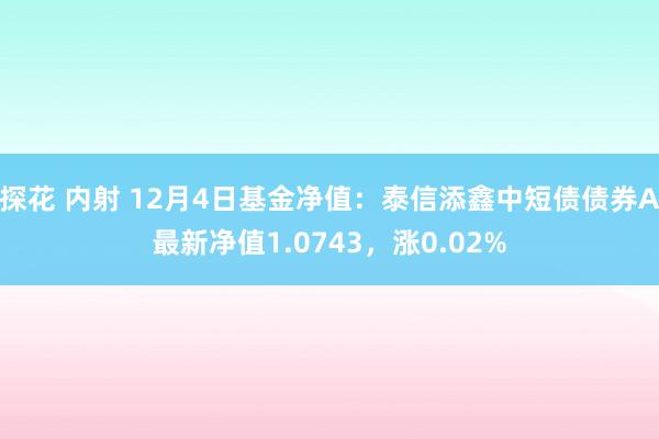 探花 内射 12月4日基金净值：泰信添鑫中短债债券A最新净值1.0743，涨0.02%