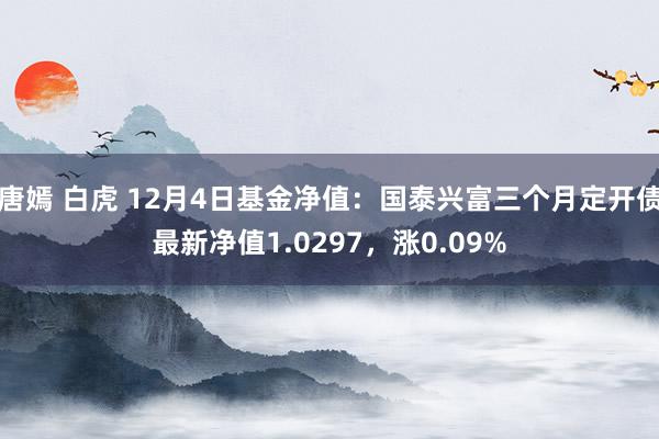 唐嫣 白虎 12月4日基金净值：国泰兴富三个月定开债最新净值1.0297，涨0.09%