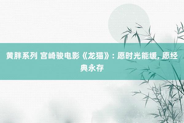 黄胖系列 宫崎骏电影《龙猫》: 愿时光能缓， 愿经典永存