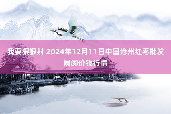 我要狠狠射 2024年12月11日中国沧州红枣批发阛阓价钱行情