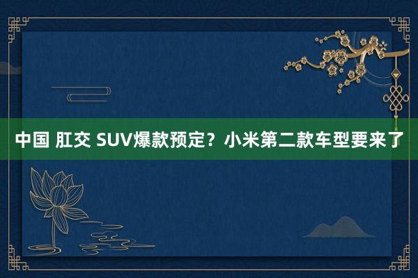 中国 肛交 SUV爆款预定？小米第二款车型要来了