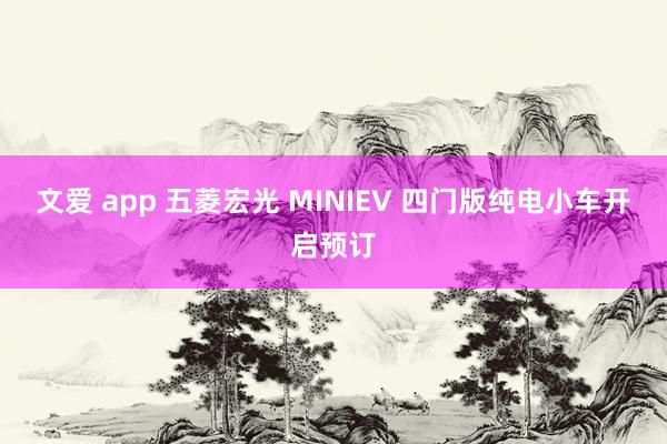 文爱 app 五菱宏光 MINIEV 四门版纯电小车开启预订