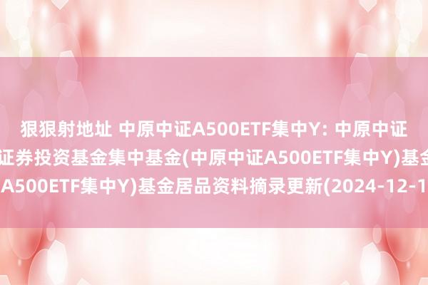 狠狠射地址 中原中证A500ETF集中Y: 中原中证A500交往型灵通式指数证券投资基金集中基金(中原中证A500ETF集中Y)基金居品资料摘录更新(2024-12-13)