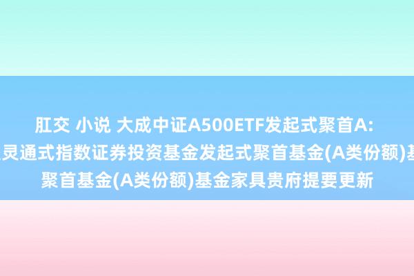 肛交 小说 大成中证A500ETF发起式聚首A: 大成中证A500交游型灵通式指数证券投资基金发起式聚首基金(A类份额)基金家具贵府提要更新