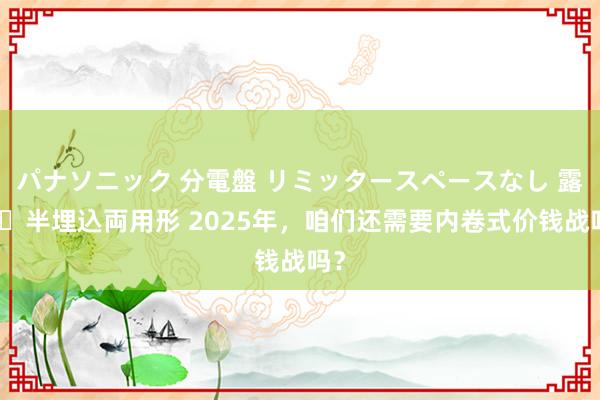 パナソニック 分電盤 リミッタースペースなし 露出・半埋込両用形 2025年，咱们还需要内卷式价钱战吗？