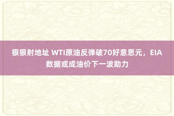 狠狠射地址 WTI原油反弹破70好意思元，EIA数据或成油价下一波助力