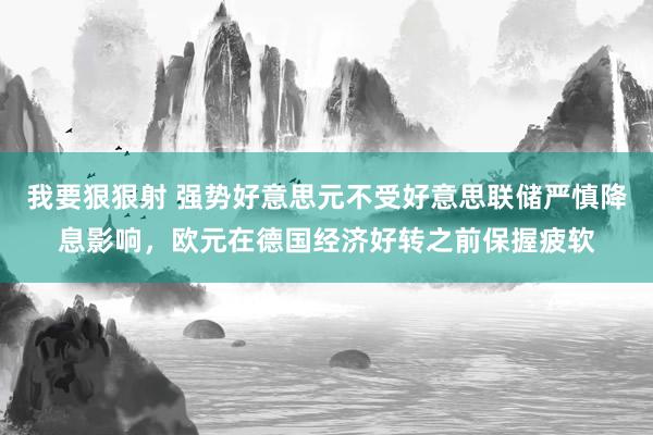 我要狠狠射 强势好意思元不受好意思联储严慎降息影响，欧元在德国经济好转之前保握疲软